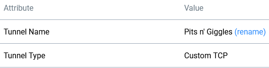 Playit.gg tunnel renaming