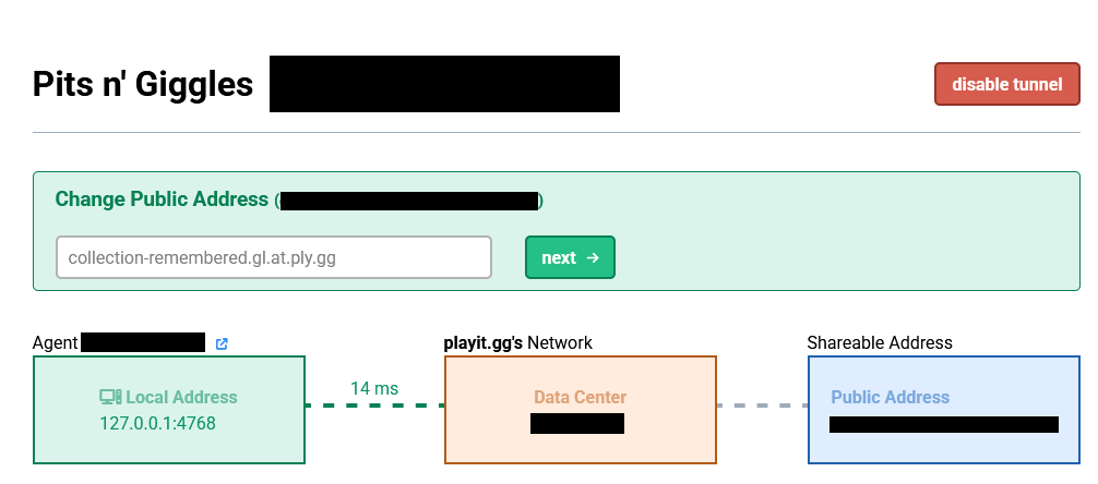Playit.gg tunnel status